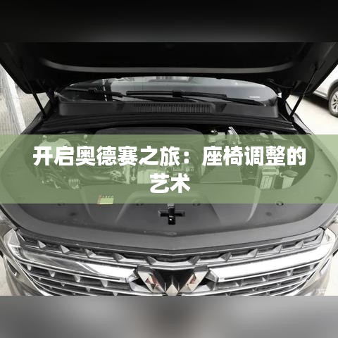 关于我们 第237页