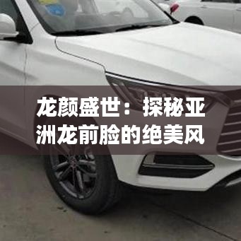 精品物流专线 第237页