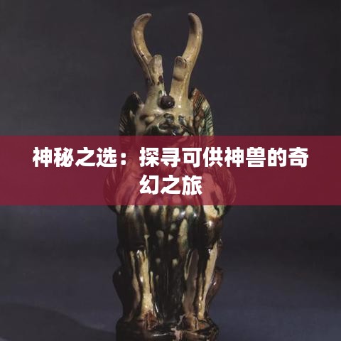 联系我们 第254页