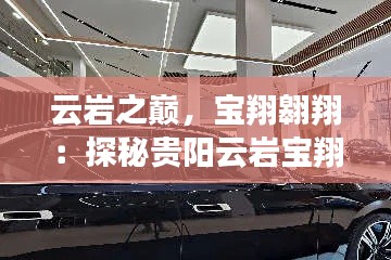 搬家运输 第236页