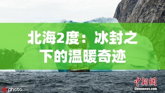 花香鸟语 第4页