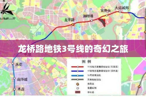 新闻中心 第302页