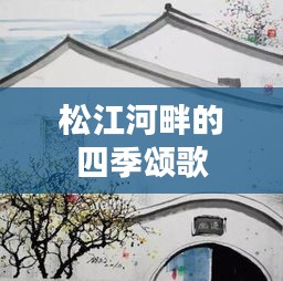 经典案例 第248页