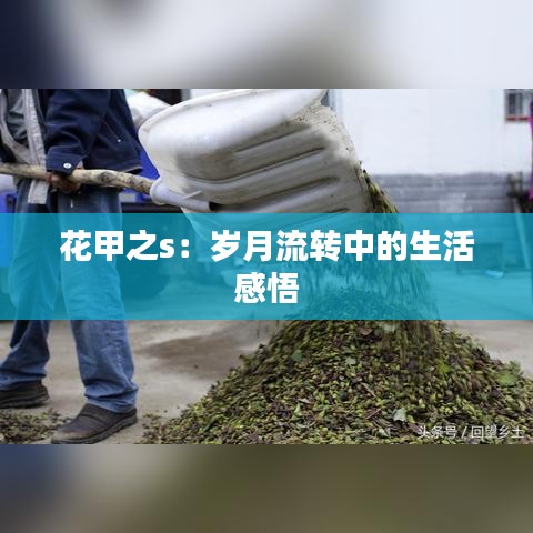 焚膏继晷 第3页