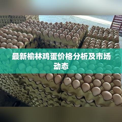最新榆林鸡蛋价格分析及市场动态