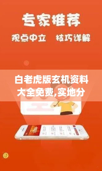 白老虎版玄机资料大全免费,实地分析解释定义_钱包版5.336