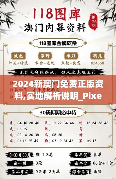 2024新澳门免费正版资料,实地解析说明_Pixel2.611