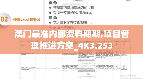 澳门最准内部资料期期,项目管理推进方案_4K3.253