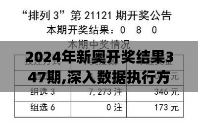 2024年新奥开奖结果347期,深入数据执行方案_android7.427