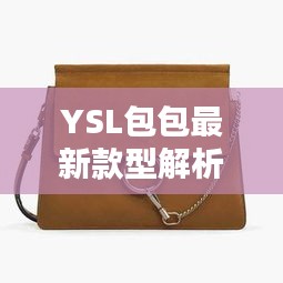 YSL包包最新款型解析：时尚界的奢华新宠