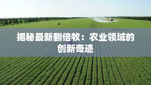 洞天福地 第4页