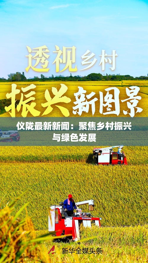 正襟危坐 第3页