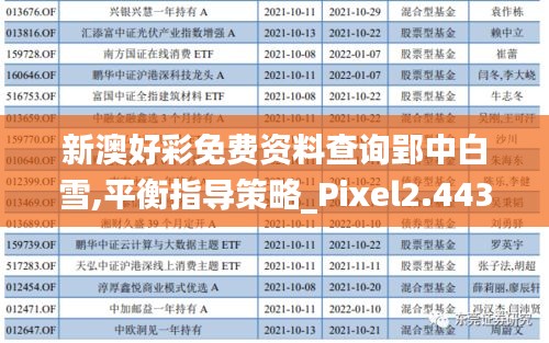 新澳好彩免费资料查询郢中白雪,平衡指导策略_Pixel2.443