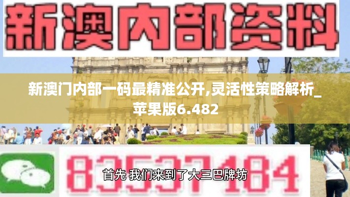 新澳门内部一码最精准公开,灵活性策略解析_苹果版6.482