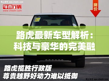鸟吏鼈官 第3页