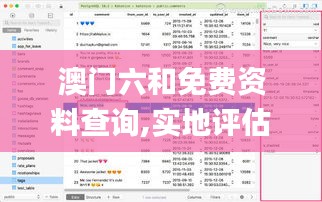 澳门六和免费资料查询,实地评估解析数据_Plus7.762