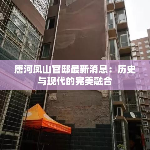 七贵三公 第3页
