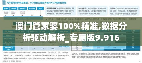 澳门管家婆100%精准,数据分析驱动解析_专属版9.916