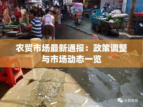 抛砖引玉 第3页