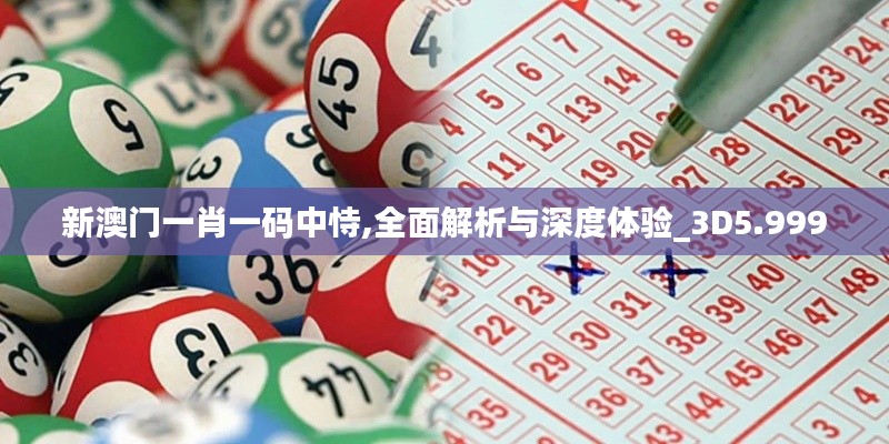新澳门一肖一码中恃,全面解析与深度体验_3D5.999