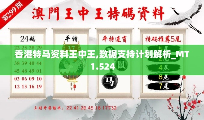 香港特马资料王中王,数据支持计划解析_MT1.524