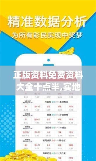 正版资料免费资料大全十点半,实地解答解释定义_Executive1.479