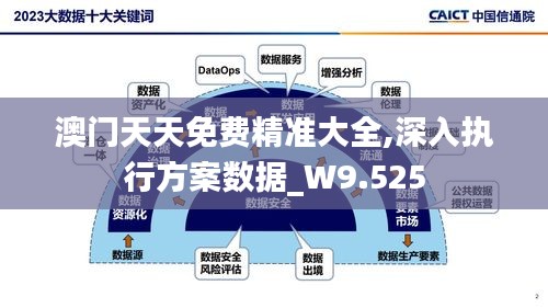 澳门天天免费精准大全,深入执行方案数据_W9.525