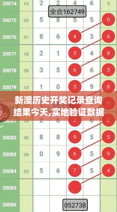 新澳历史开奖记录查询结果今天,实地验证数据策略_kit3.319
