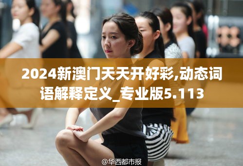 2024新澳门天天开好彩,动态词语解释定义_专业版5.113