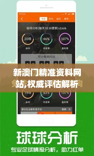 新澳门精准资料网站,权威评估解析_XR16.167