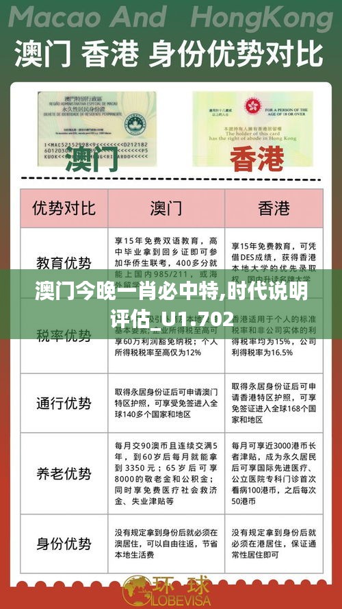 澳门今晚一肖必中特,时代说明评估_U1.702