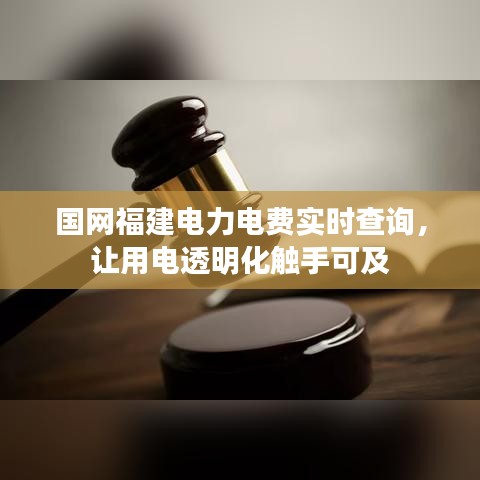 国网福建电力电费实时查询，让用电透明化触手可及