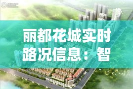 丽都花城实时路况信息：智慧出行，畅行无忧