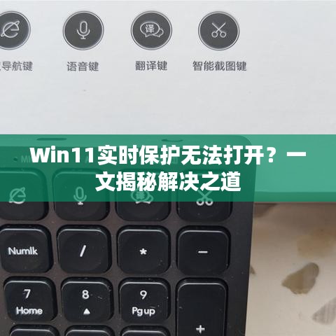 笨鸟先飞 第3页