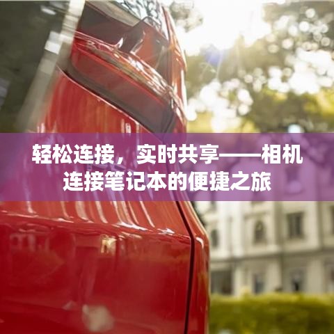 荡然无存 第2页
