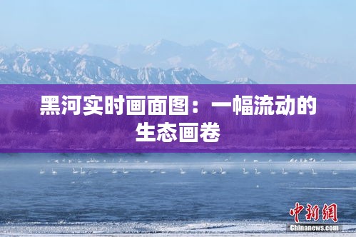 黑河实时画面图：一幅流动的生态画卷