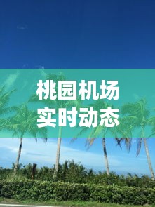 桃园机场实时动态查询：您的出行助手