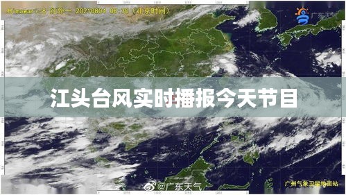 林下风范 第2页