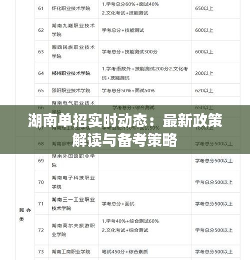 湖南单招实时动态：最新政策解读与备考策略