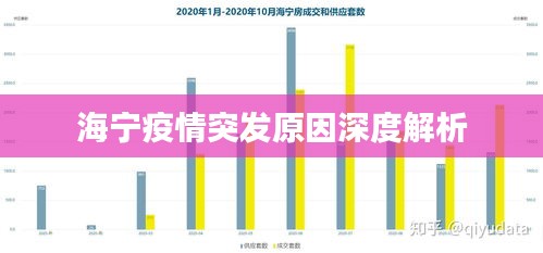 衣不重采 第2页