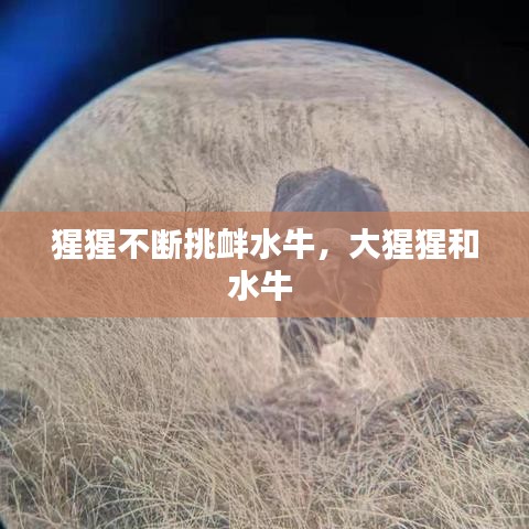 学贵有疑 第2页