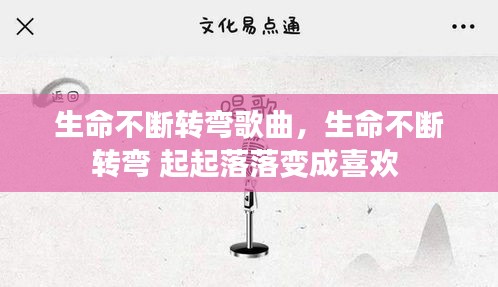 母凭子贵 第2页