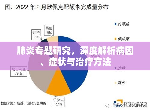 肺炎专题研究，深度解析病因、症状与治疗方法