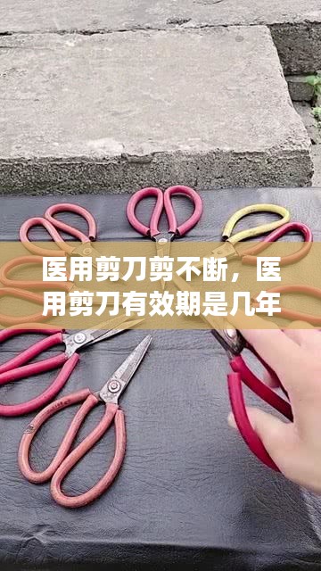如花似玉 第2页