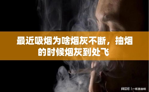 环肥燕瘦 第2页