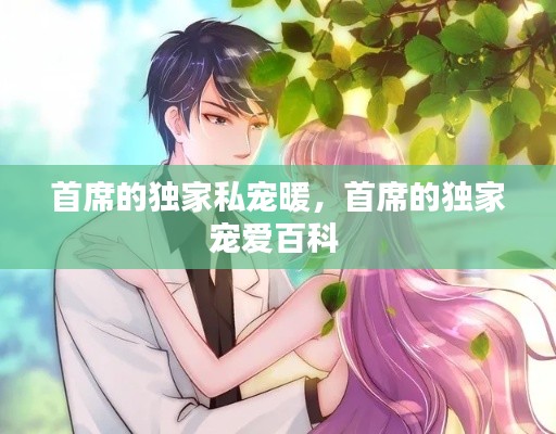 两袖清风 第2页