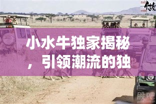 自由自在 第2页
