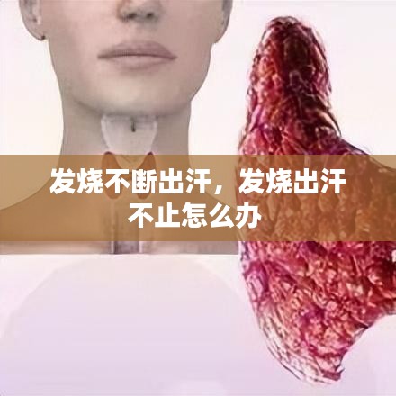 听见风就是雨 第2页