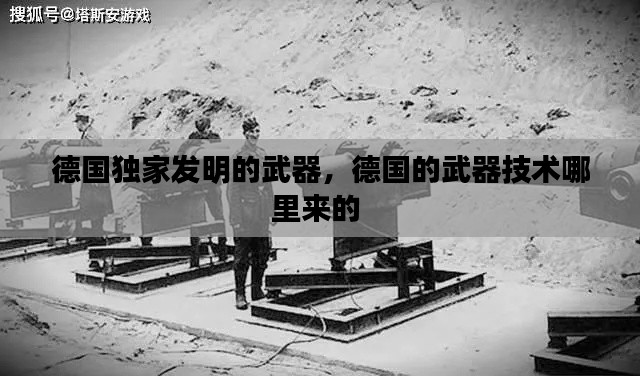 百鸟齐鸣 第2页