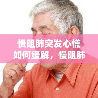 惊弓之鸟 第2页